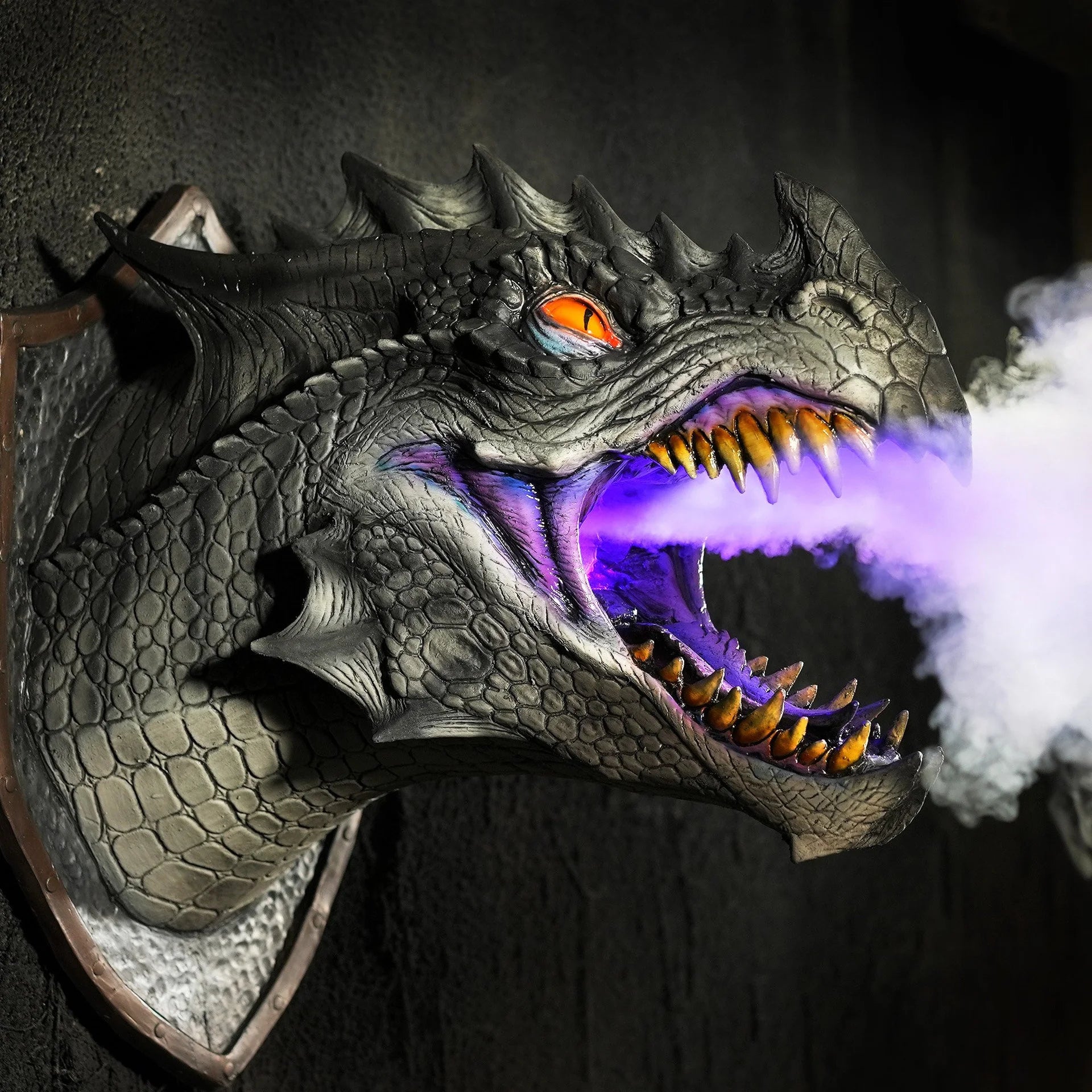 Dragon Legends Prop